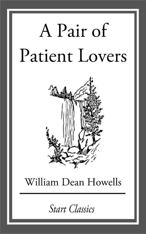 Book cover of A Pair of Patient Lovers