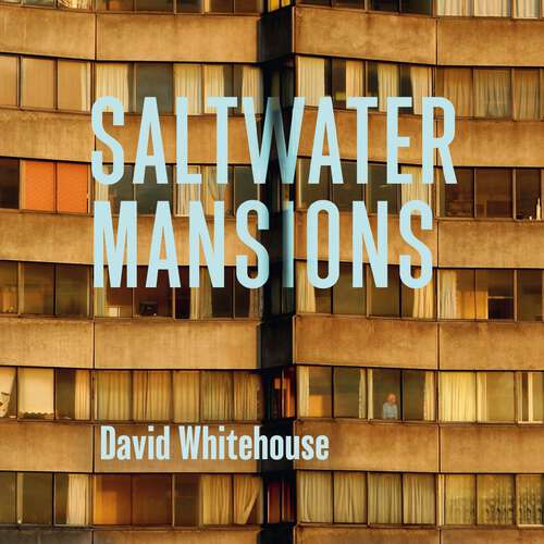 Book cover of Saltwater Mansions: The Woman Who Disappeared and Other Untold Stories