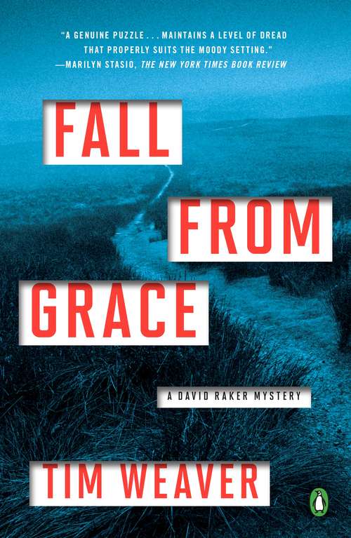 Book cover of Fall from Grace (A David Raker Mystery)