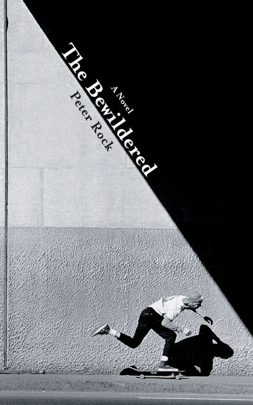 Book cover of The Bewildered: A Novel