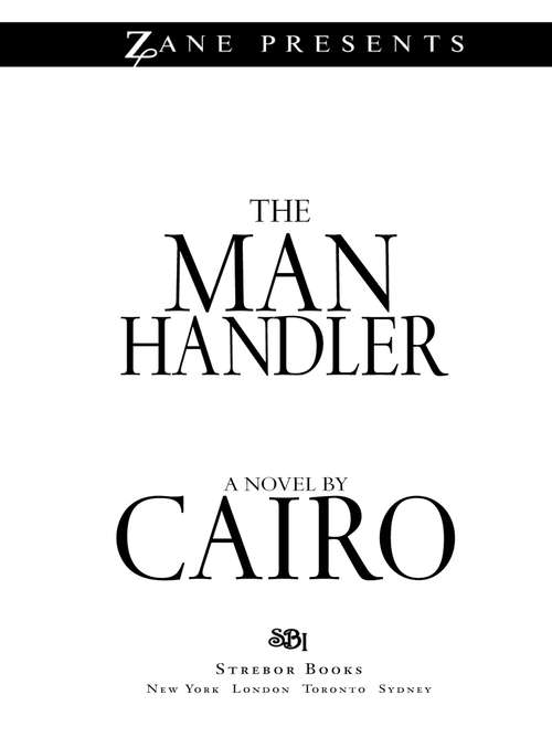 Book cover of The Man Handler