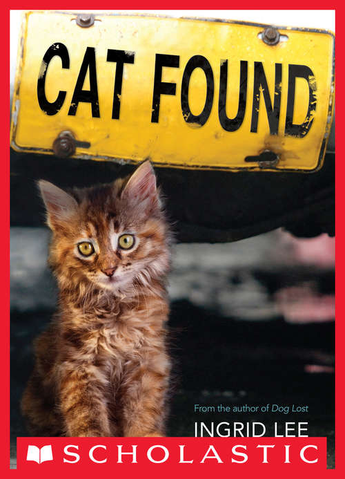 Book cover of Cat Found