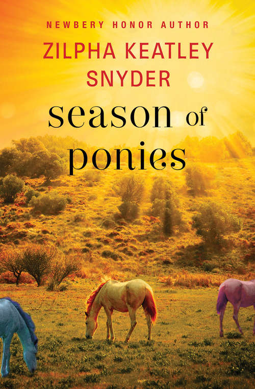 Book cover of Season of Ponies