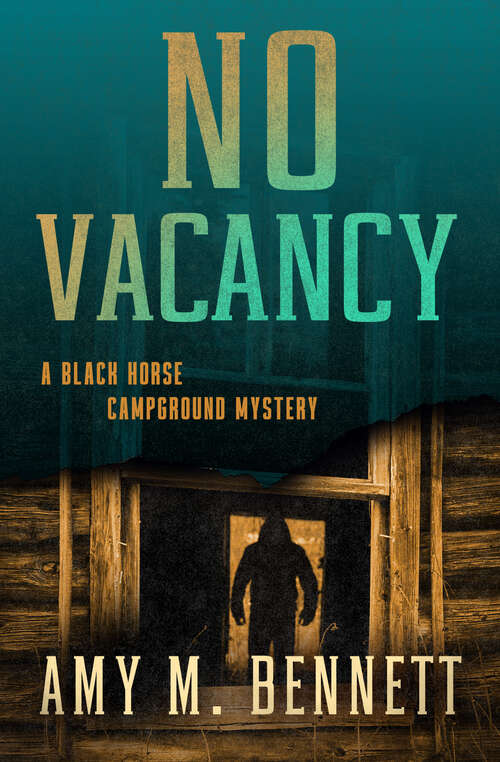 Book cover of No Vacancy (Black Horse Campground Mysteries: Vol. 3)