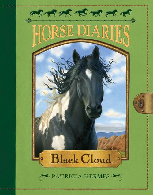 Book cover of Horse Diaries #8: Black Cloud