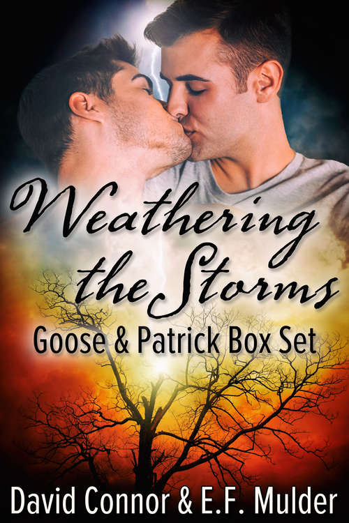 Weathering the Storms Box Set