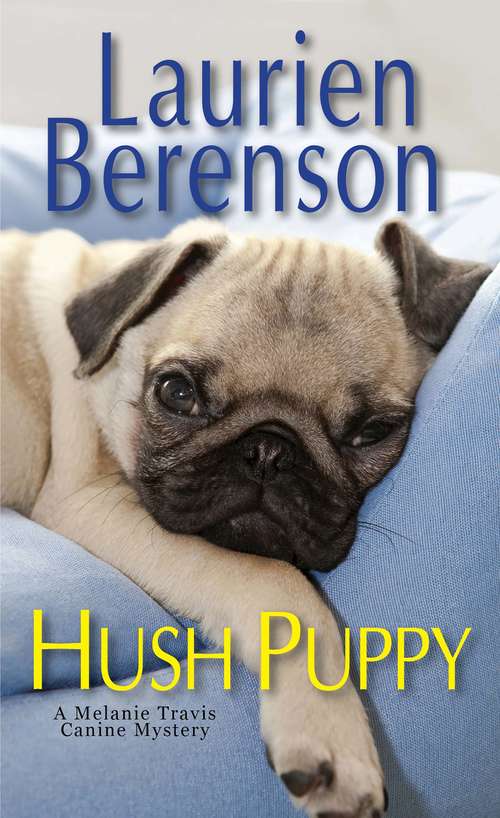 Book cover of Hush Puppy