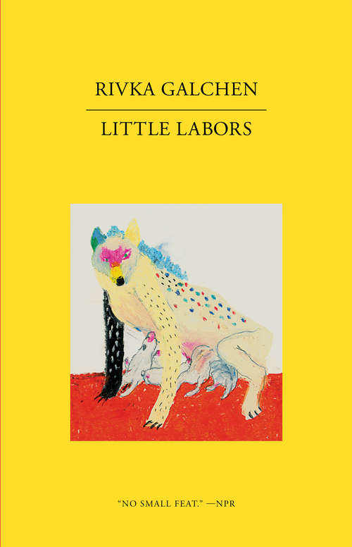 Book cover of Little Labors
