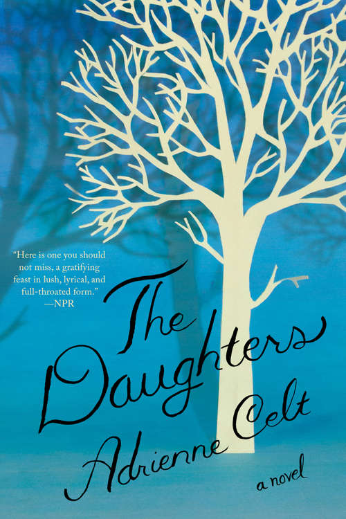 Book cover of The Daughters: A Novel