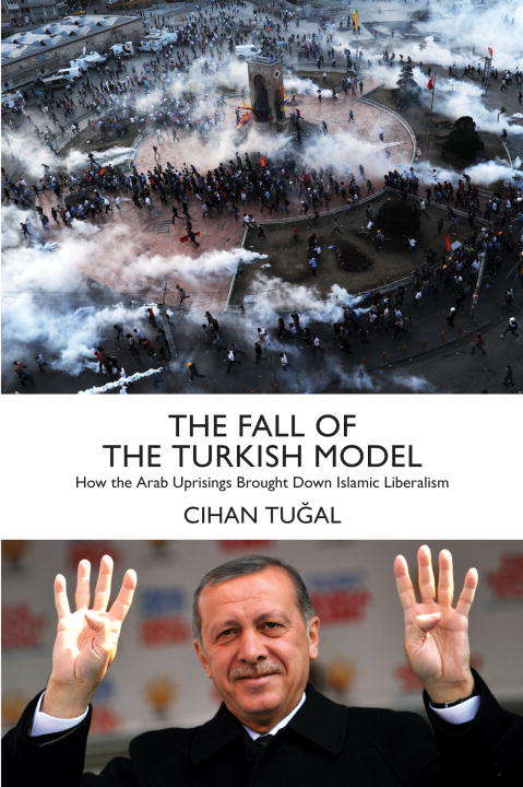 Book cover of The Fall of the Turkish Model