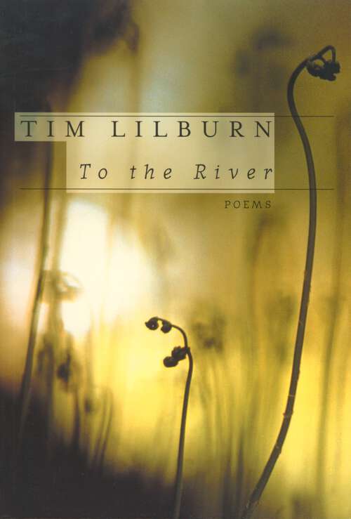 Book cover of To the River