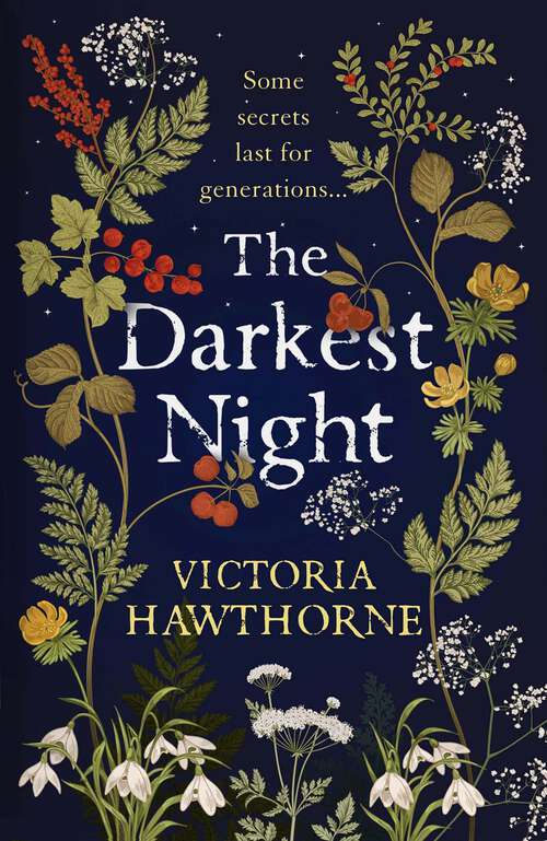 Book cover of The Darkest Night: a twisty historical mystery to keep you reading through the night