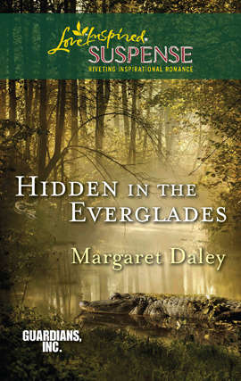 Book cover of Hidden in the Everglades