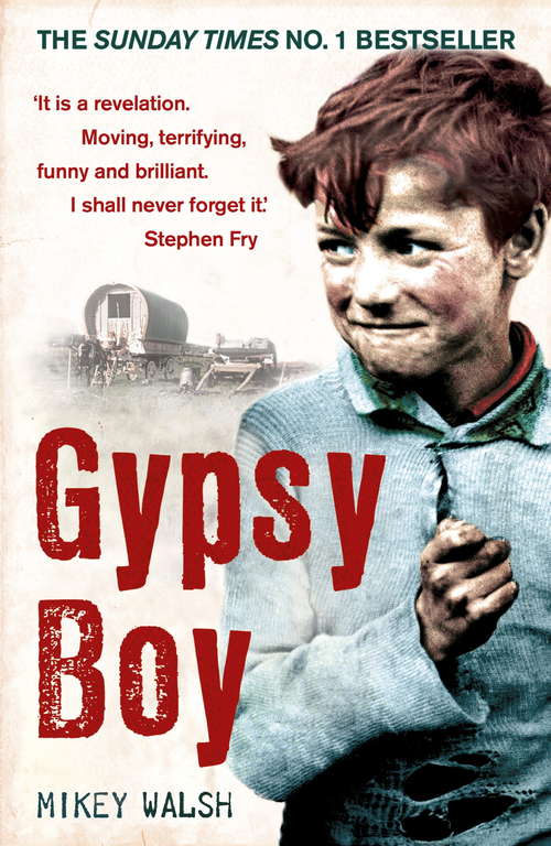 Book cover of Gypsy Boy: The bestselling memoir of a Romany childhood