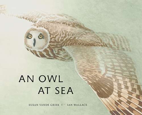 Book cover of An Owl at Sea