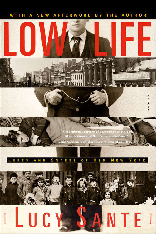 Book cover of Low Life: Lures and Snares of Old New York