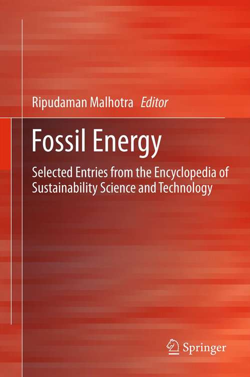Book cover of Fossil Energy