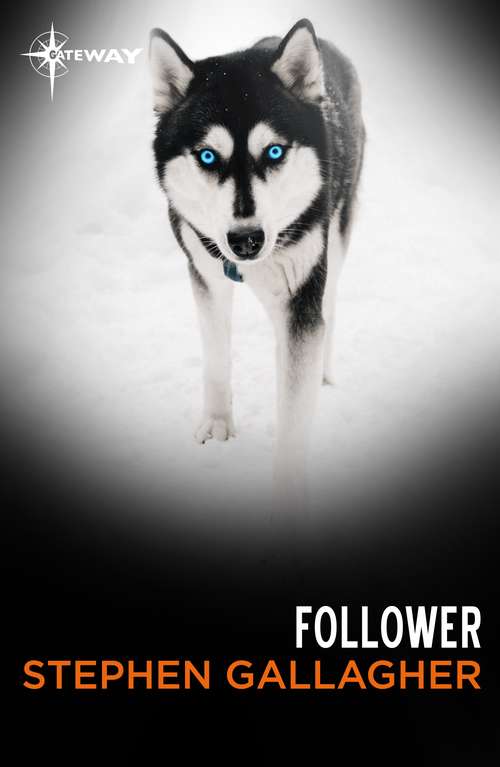 Book cover of Follower