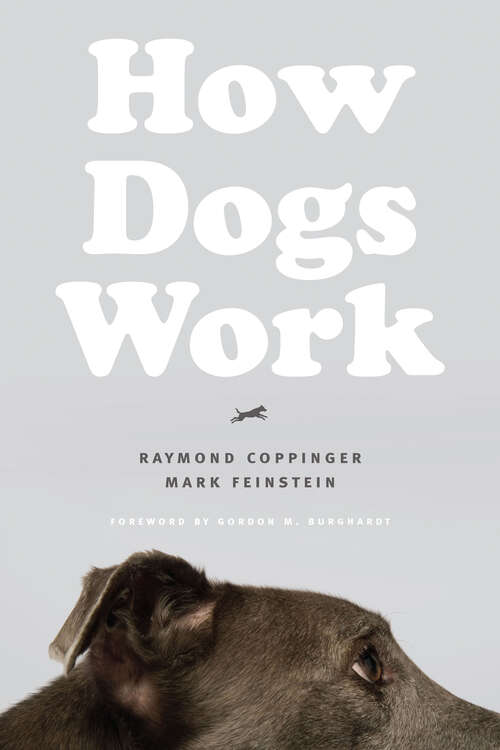 Book cover of How Dogs Work