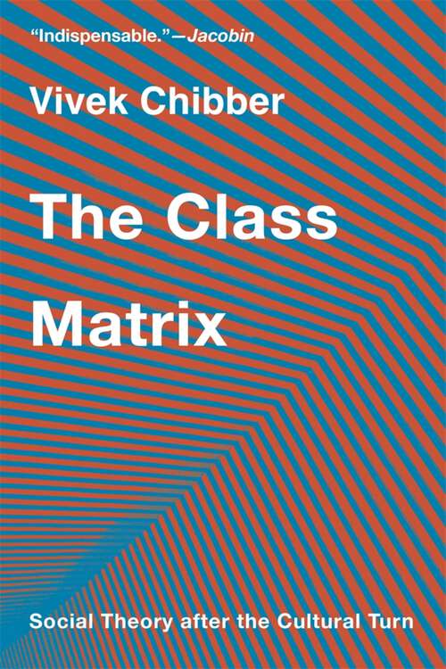 Book cover of The Class Matrix: Social Theory after the Cultural Turn
