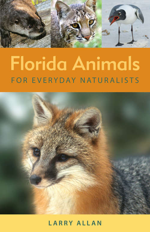 Book cover of Florida Animals for Everyday Naturalists
