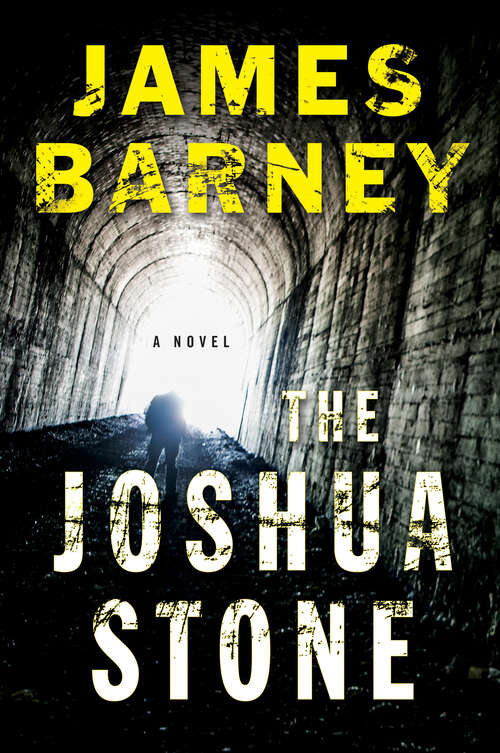 Book cover of The Joshua Stone: A Novel