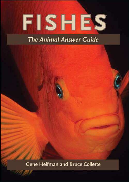 Book cover of Fishes: The Animal Answer Guide (2) (The Animal Answer Guides: Q&A for the Curious Naturalist)