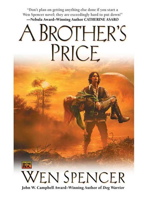 Book cover of A Brother's Price
