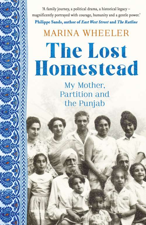 Book cover of The Lost Homestead: My Mother, Partition and the Punjab