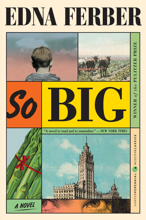 Book cover of So Big