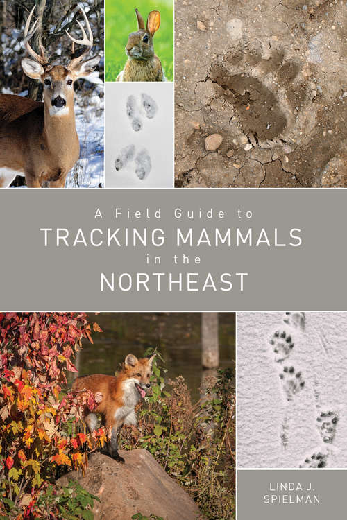 Book cover of A Field Guide to Tracking Mammals in the Northeast