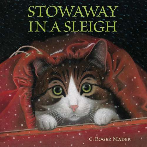 Book cover of Stowaway in a Sleigh