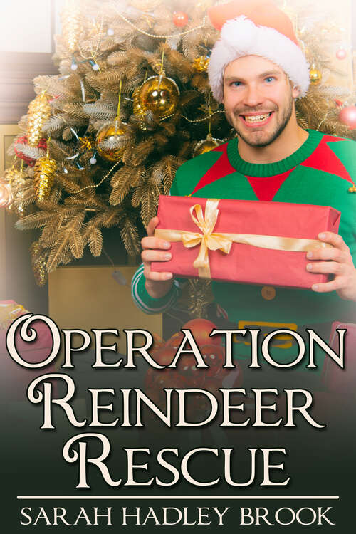 Operation Reindeer Rescue
