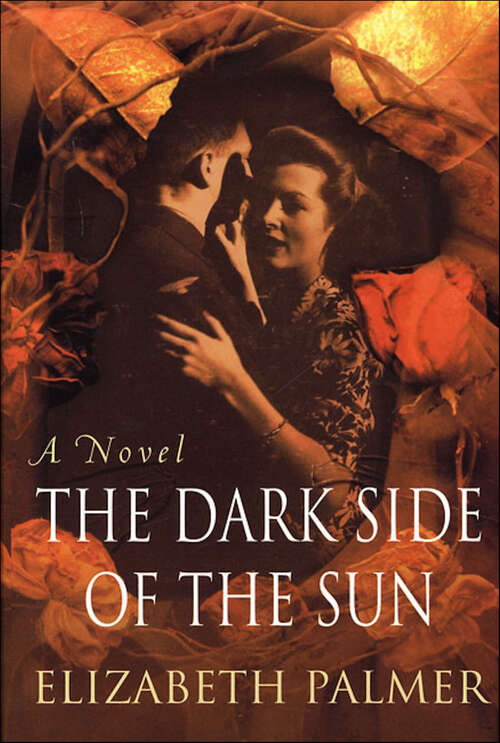 Book cover of The Dark Side of the Sun: A Novel