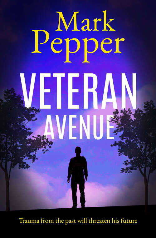 Book cover of Veteran Avenue: A twisting thriller perfect for Jack Reacher fans (2)