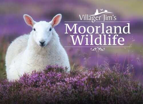 Book cover of Villager Jim's Moorland Wildlife
