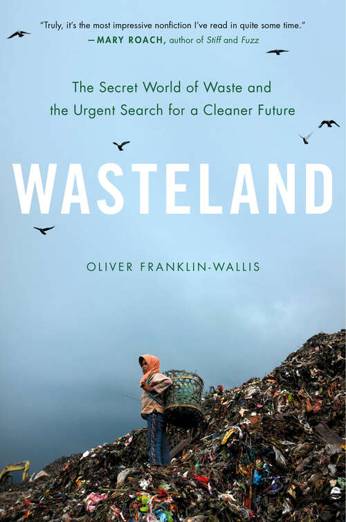 Book cover of Wasteland: The Secret World of Waste and the Urgent Search for a Cleaner Future