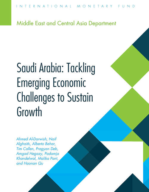 Saudi Arabia: Tackling Emerging Economic Challenges to Sustain Growth