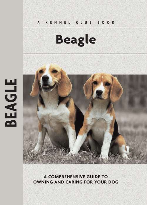Book cover of Beagle