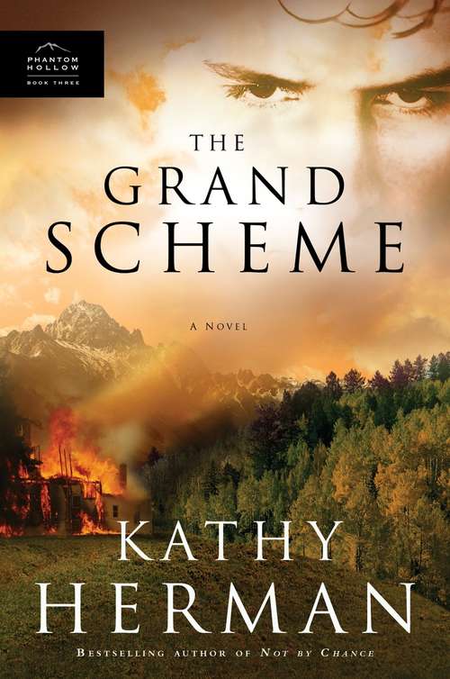Book cover of The Grand Scheme