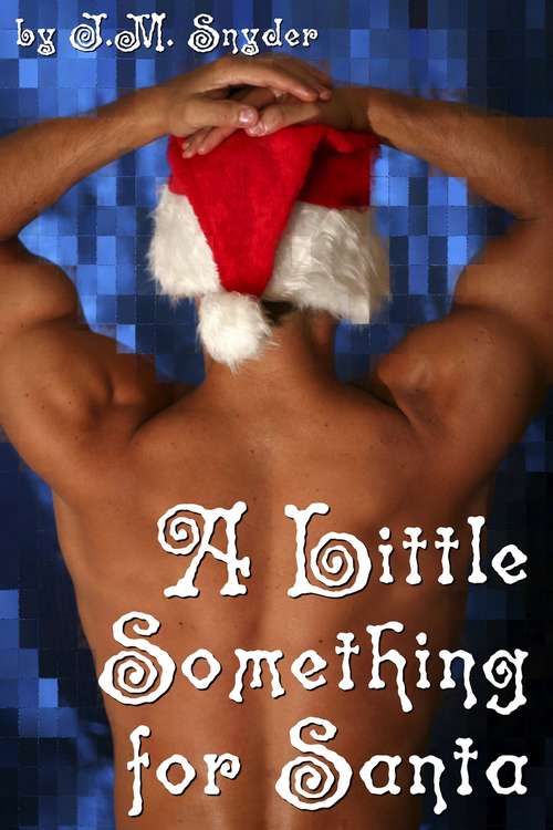 Book cover of A Little Something for Santa