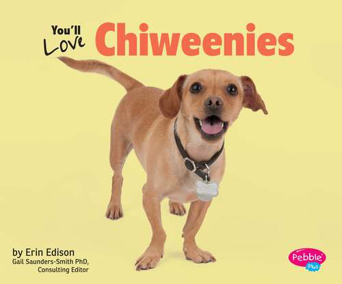 Book cover of You’ll Love Chiweenies (Favorite Designer Dogs Ser.)