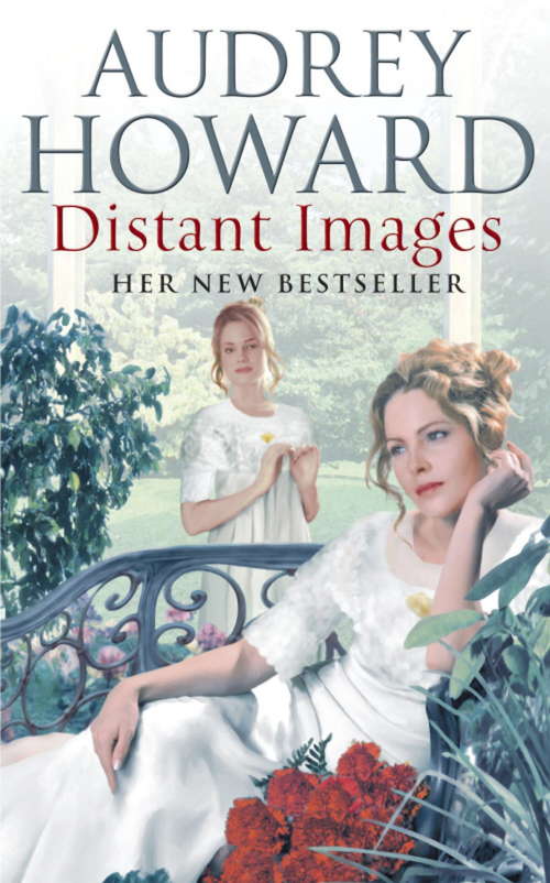 Book cover of Distant Images