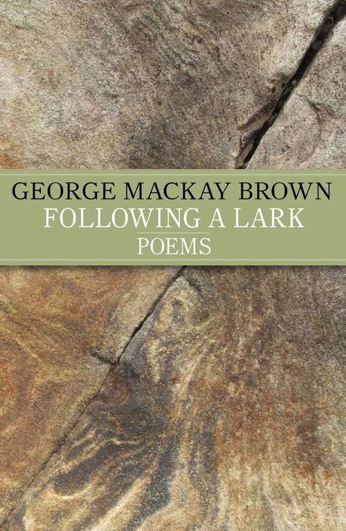 Book cover of Following A Lark