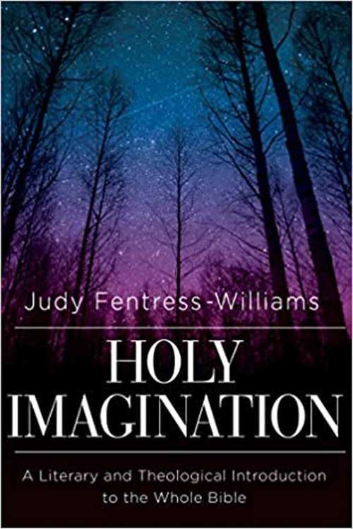 Book cover of Holy Imagination: A Literary And Theological Introduction To The Whole Bible