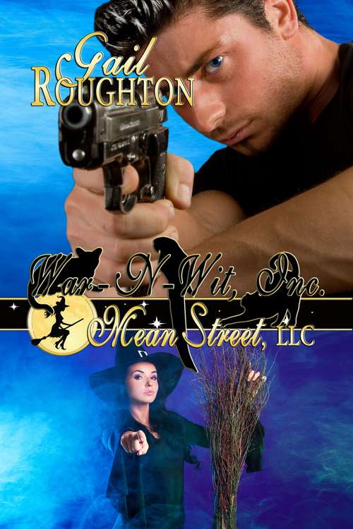 Book cover of Mean Street, LLC (War N' Wit #4)