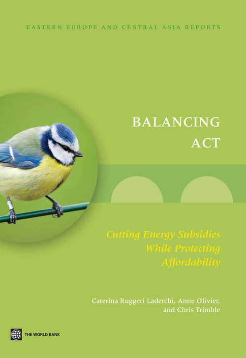 Book cover of Balancing Act: Cutting Energy Subsidies while Protecting Affordability