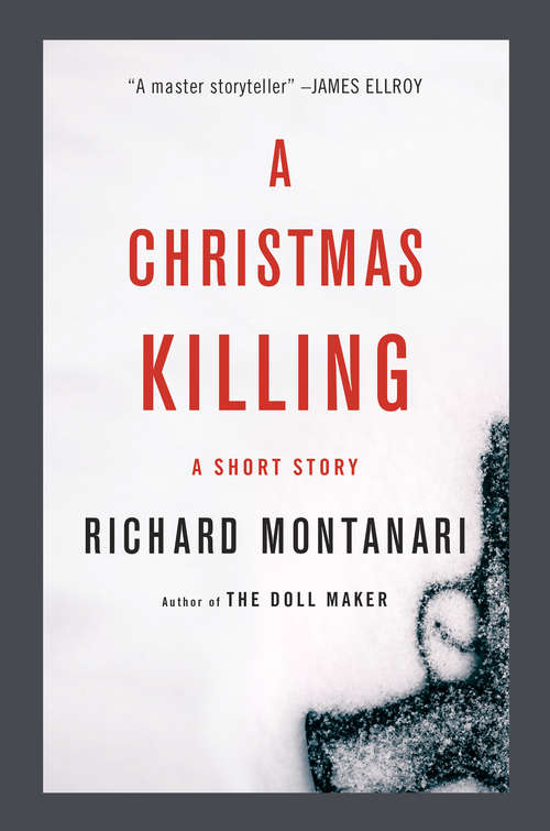 Book cover of A Christmas Killing