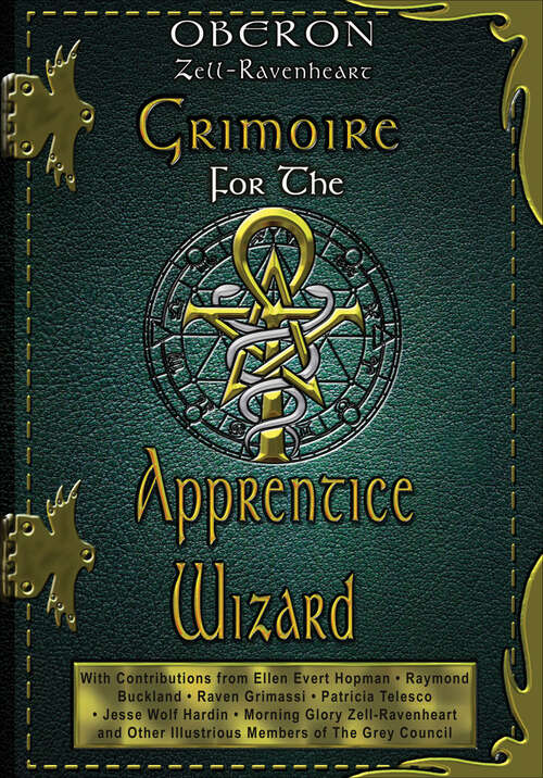 Book cover of Grimoire For The Apprentice Wizard