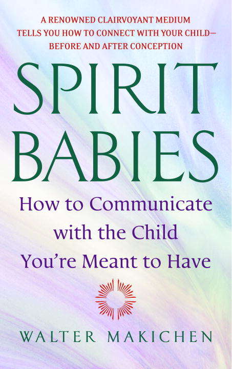 Book cover of Spirit Babies: How to Communicate with the Child You're Meant to Have